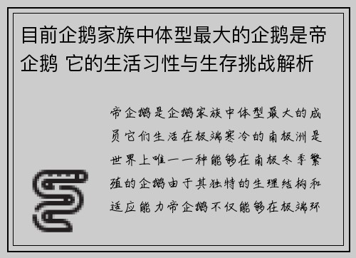 目前企鹅家族中体型最大的企鹅是帝企鹅 它的生活习性与生存挑战解析 目前企鹅家族中体型最大的企鹅是帝企鹅 它的生活习性与生存挑战解析